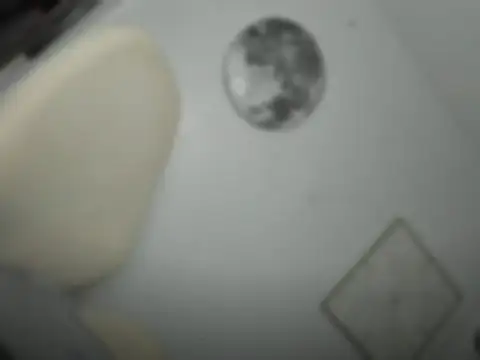 mxshemale ladyboy online show from 03.26.26