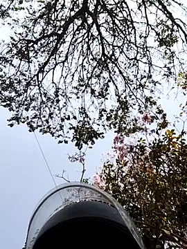 bnglrboy0886 online show from 03.07.26