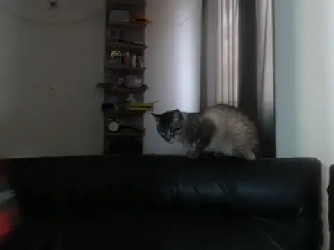 BeautyYoungblond online show from 02.03.26