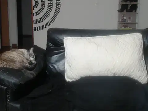 BeautyYoungblond online show from 03.14.26