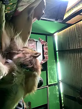 Fixvyusv online show from 01.12.26