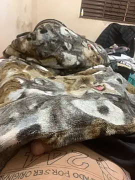 heitorpaugrande online show from 03.04.26