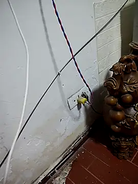 Snapshot of thobaby99 chatting on 01.09.26 thobaby99 online show from 01.09.26