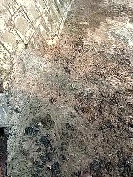 Snapshot of Tamilpaiyan07 chatting on 03.08.26 Tamilpaiyan07 online show from 03.08.26