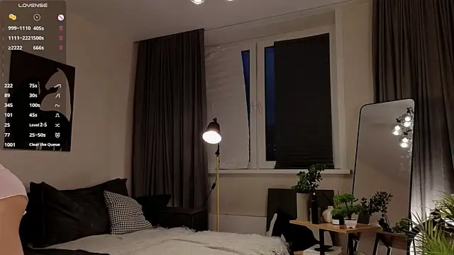 DiannMccarl online show from 02.15.26