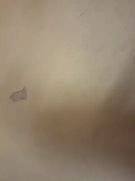 yourburget online show from 02.19.26