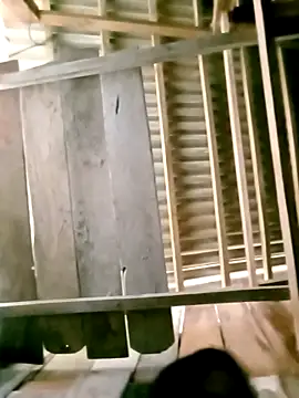 DIANAKUTE online show from 03.08.26