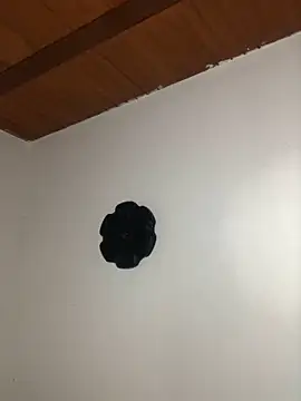 seth c online show from 03.21.26