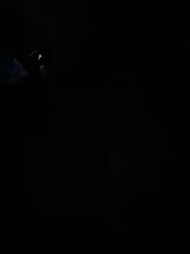 PUSSYcumHARDER online show from 06.11.26