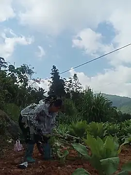 Hiniyk2 online show from 05.17.26