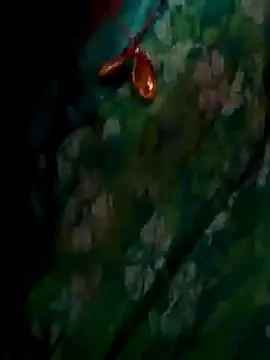 Snapshot of ramya_sri chatting on 02.02.26 ramya sri online show from 02.02.26