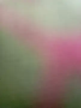 Snapshot of Dariralf chatting on 01.16.26 Dariralf online show from 01.16.26