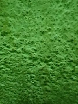 Pagelboy 089 online show from 04.08.26