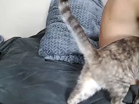 Snapshot of chris_aitrix chatting on 01.08.26 chris aitrix online show from 01.08.26