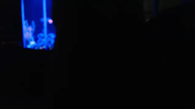 EspanolVato online show from 07.10.26