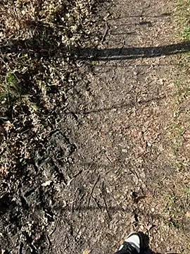 Nickwichst online show from 03.12.26