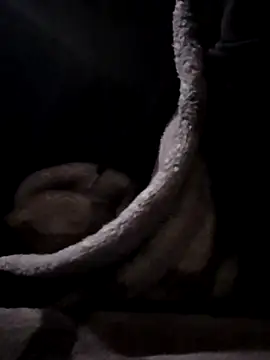 Snapshot of YoungAsainWithATrunk chatting on 01.19.26 YoungAsainWithATrunk online show from 01.19.26