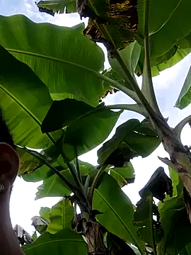 Snapshot of Wild_and_Sweets chatting on 01.11.26 Wild and Sweets online show from 01.11.26