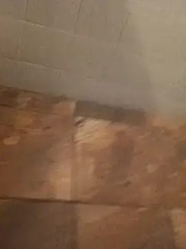 Snapshot of Paperdonny chatting on 01.06.26 Paperdonny online show from 01.06.26