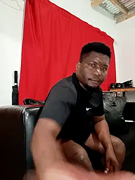 Paperdonny online show from 02.19.26