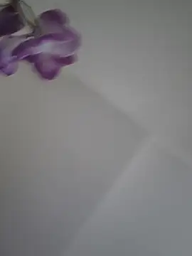Snapshot of gisequeen chatting on 06.17.26 gisequeen online show from 06.17.26