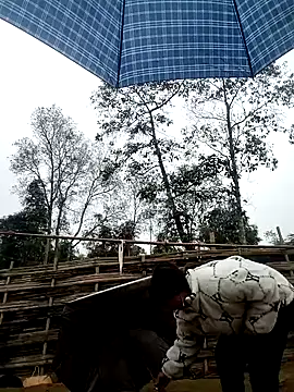 alycen online show from 02.03.26