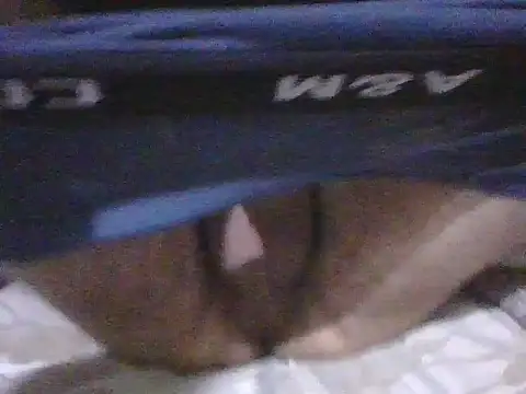 kemo2087 online show from 04.02.26