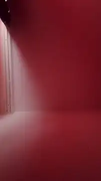 Der Schoene Penis online show from 02.21.26