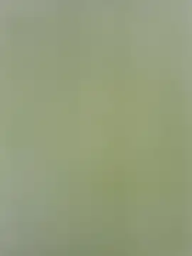Amelia9798 online show from 05.01.26