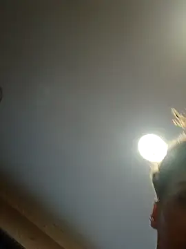 dear2002 online show from 01.17.26