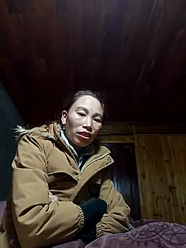 Nllpvp online show from 01.07.26