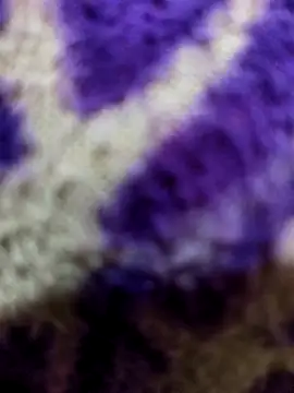 Gaonkadesiland online show from 01.15.26