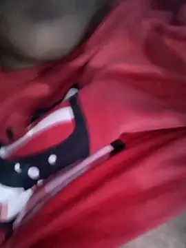 Snapshot of Desi_Nil_pori chatting on 02.04.26 Desi Nil pori online show from 02.04.26