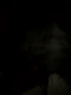 Snapshot of Ginny_2x chatting on 01.13.26 Ginny 2x online show from 01.13.26