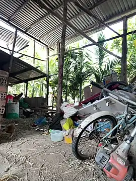 Snapshot of Ginny_2x chatting on 01.18.26 Ginny 2x online show from 01.18.26