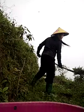 cdyyds-69 online show from 03.24.26