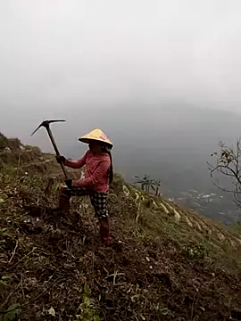 cdyyds-69 online show from 03.26.26