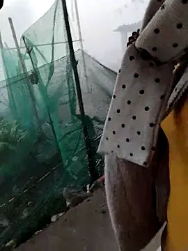 waaini99 online show from 02.09.26