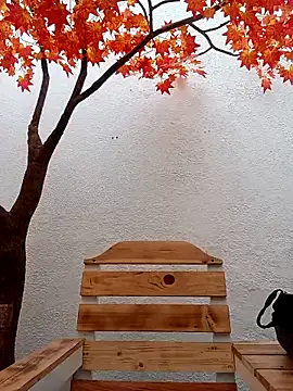 Snapshot of Dante_Knox chatting on 02.15.26 Dante Knox online show from 02.15.26