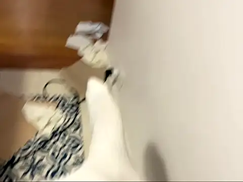 sexdiscolove online show from 02.01.26