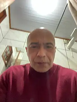 dogfrota online show from 06.12.26