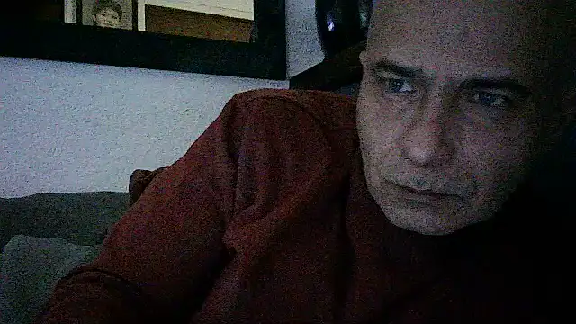 dogfrota online show from 06.14.26