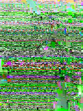 DouDou-- online show from 06.23.26