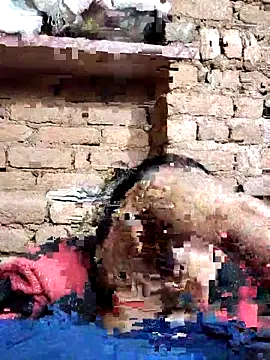 Hot di97 online show from 02.14.26