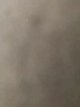 KGF786 online show from 02.12.26