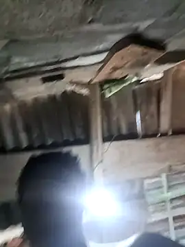 Pasivitoii online show from 03.21.26