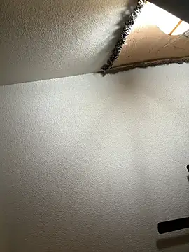 Snapshot of JoeyBlazy chatting on 01.12.26 JoeyBlazy online show from 01.12.26