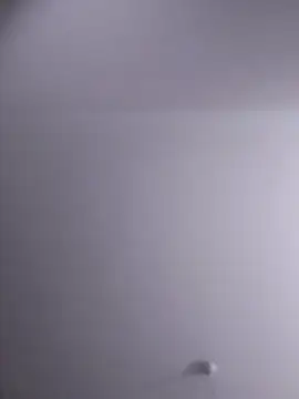 Snapshot of NickoHetero chatting on 02.10.26 NickoHetero online show from 02.10.26