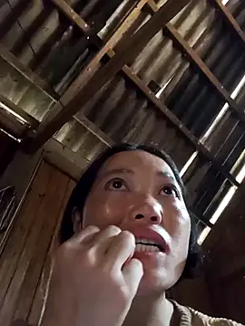 Snapshot of kotaka-shoow chatting on 03.02.26 kotaka-shoow online show from 03.02.26