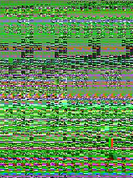 Snapshot of Wicy23 chatting on 05.14.26 Wicy23 online show from 05.14.26